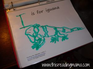 iguana tracing page