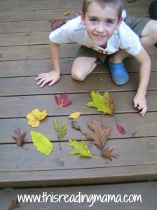 leaves from our nature sort