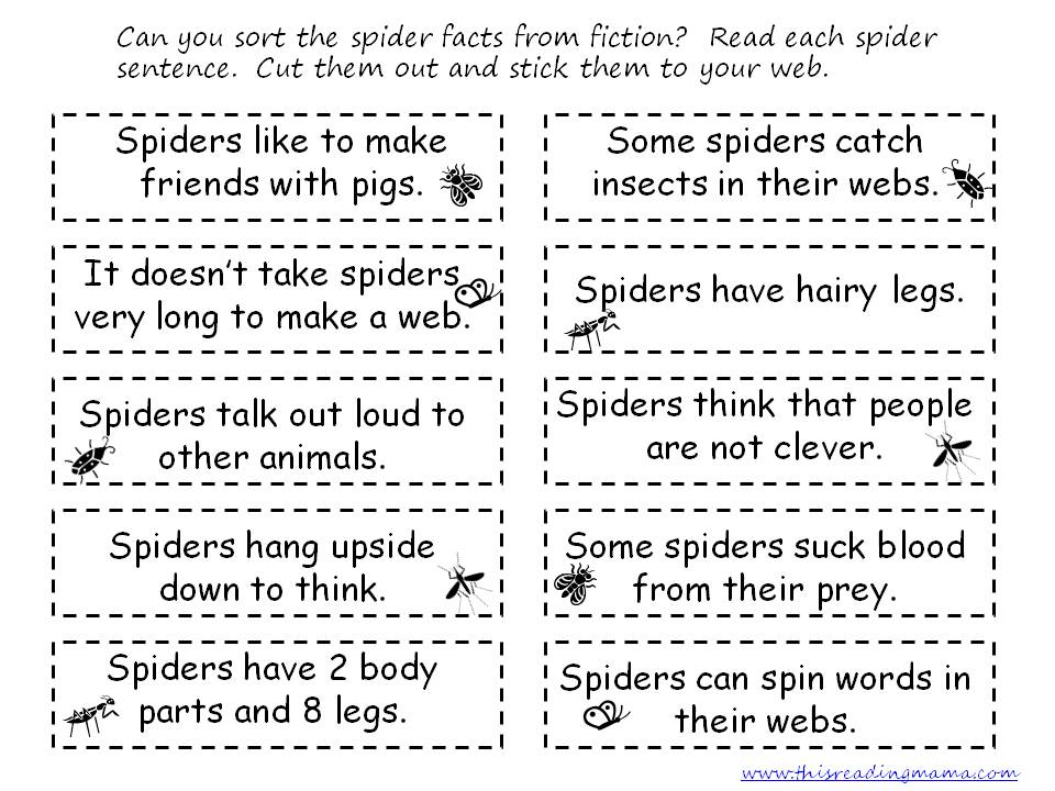 Spider Facts from Fiction Sort