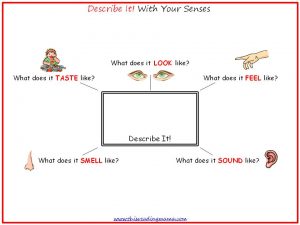 Photo of Describe It with the 5 Senses
