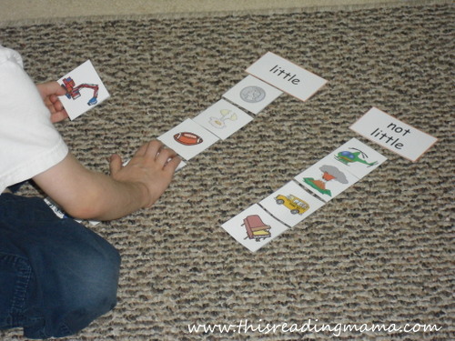 photo of little and big size sorting 