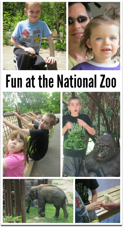 Fun at the National Zoo