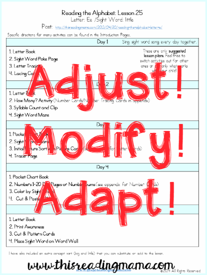 adjust, modify, and adapt lesson plans