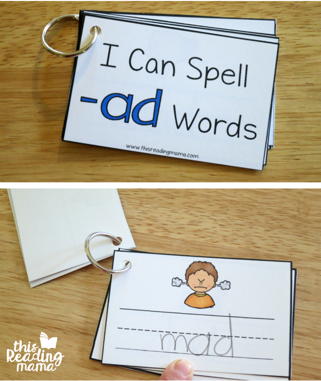 ad word family flip book
