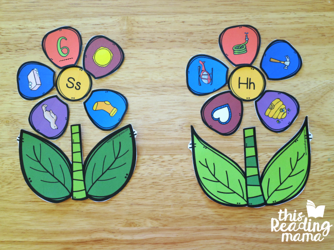 sorting letter sounds with two flowers