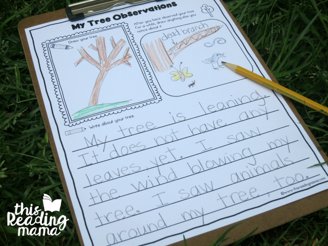 tree journal page for tree observations - great for k-2 learners