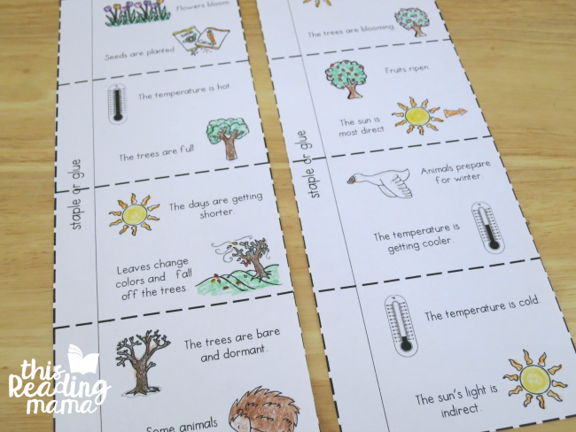 4 seasons flip book pages for older learners