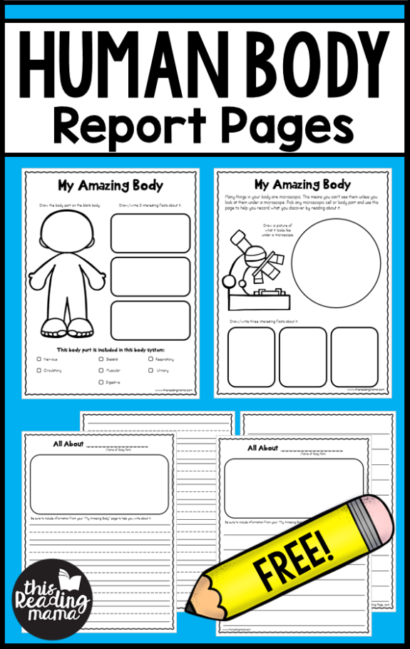 FREE Human Body Report Pages - This Reading Mama