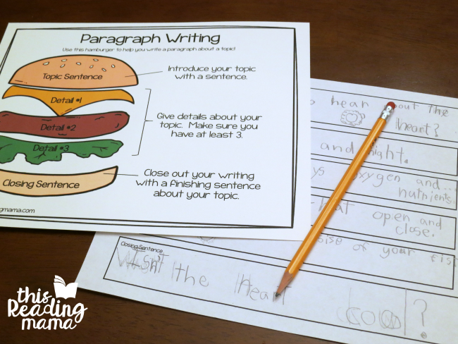 hamburger graphic organizer for paragraph writing