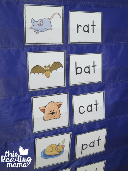 pocket chart word family cards from Reading the Alphabet Lesson 7