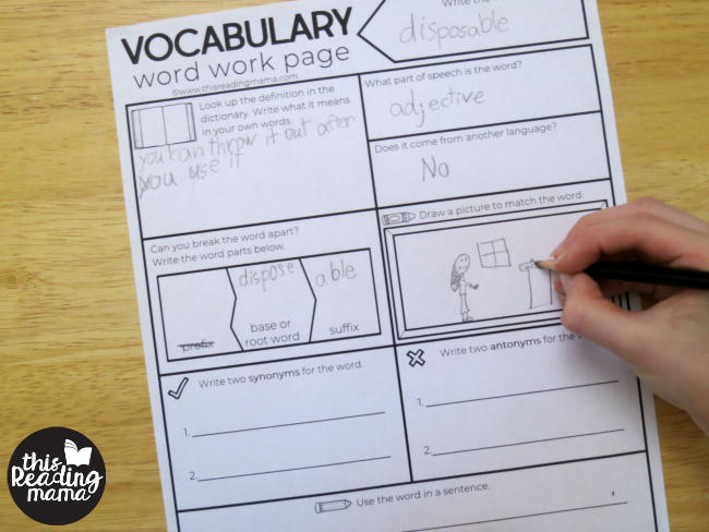 drawing a picture of the vocabulary word