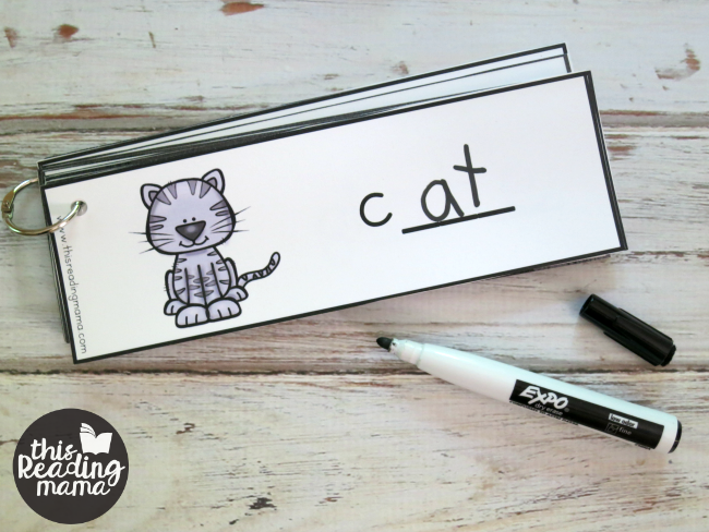 word family words - write and read dry erase cards