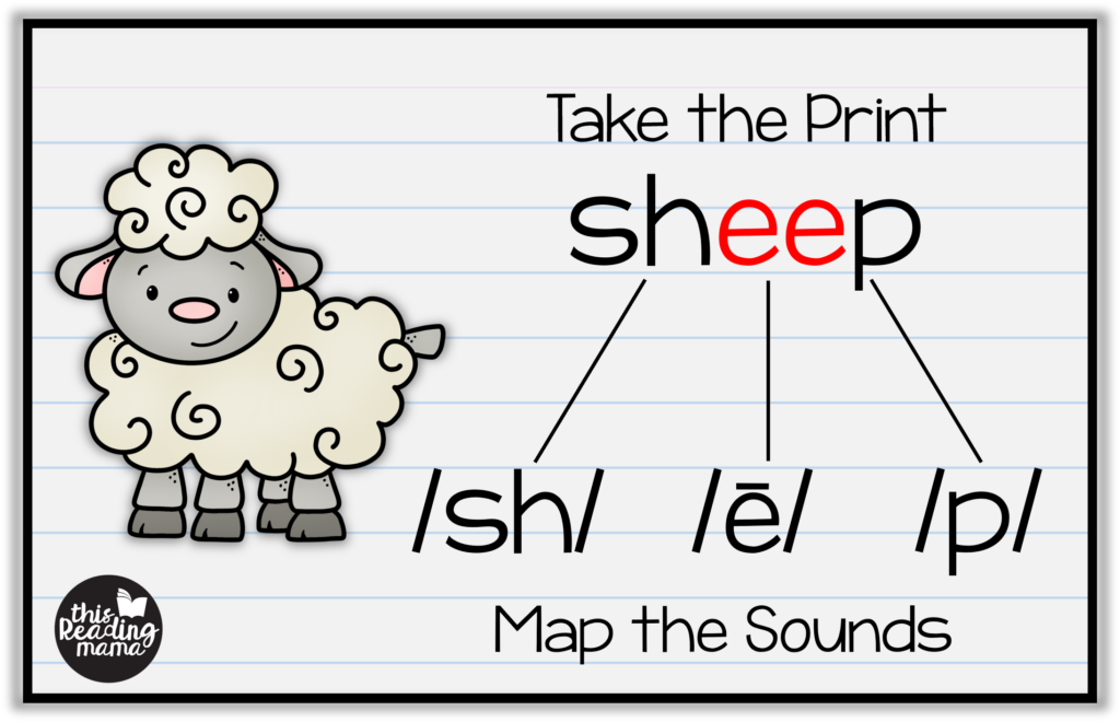 Orthographic Mapping Words - Sheep - This Reading Mama