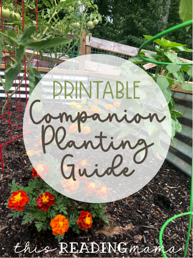 Printable Companion Planting Guide - This Reading Mama